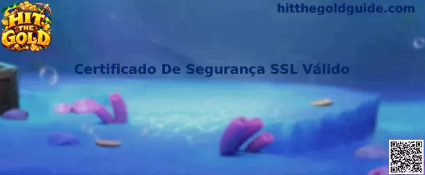 Certificado De Segurança SSL Válido